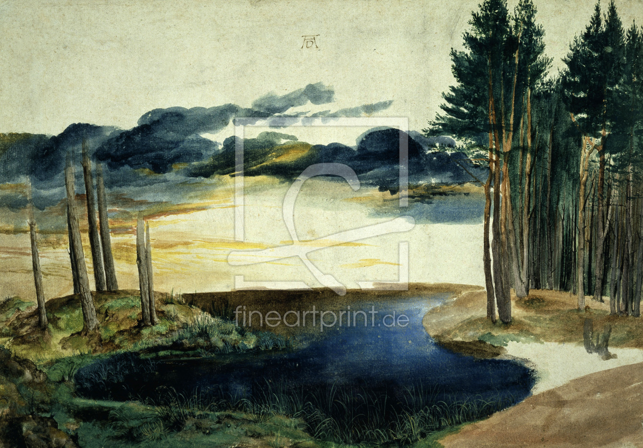 Bild-Nr.: 30002954 A.Dürer, Lake in the Woods / watercolour erstellt von Dürer, Albrecht