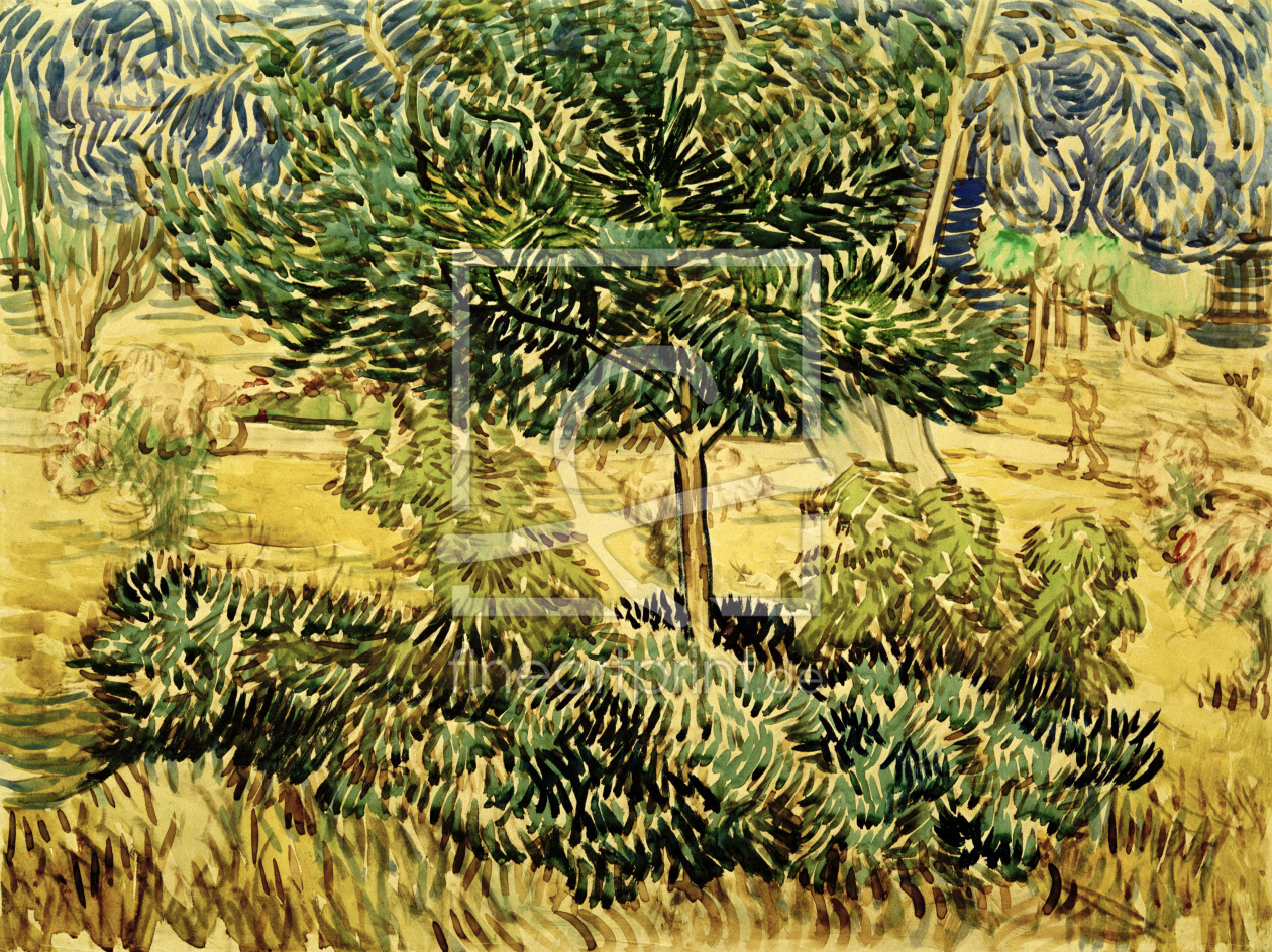Bild-Nr.: 30003130 v.Gogh, Tree a.Bushes in Asylum Garden erstellt von van Gogh, Vincent
