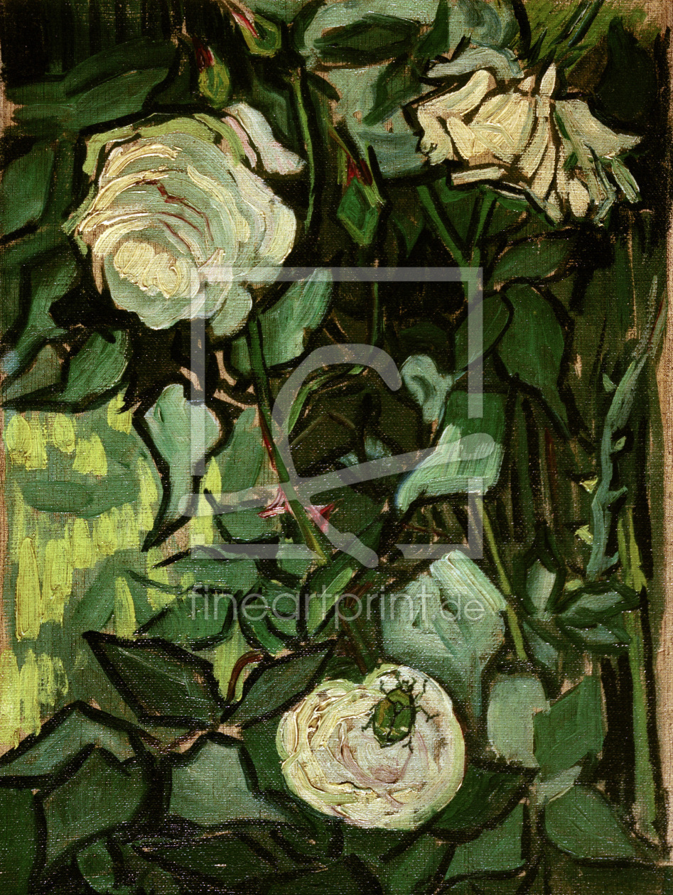 Bild-Nr.: 30003190 V.van Gogh, Roses and Beetle/Paint./1890 erstellt von van Gogh, Vincent
