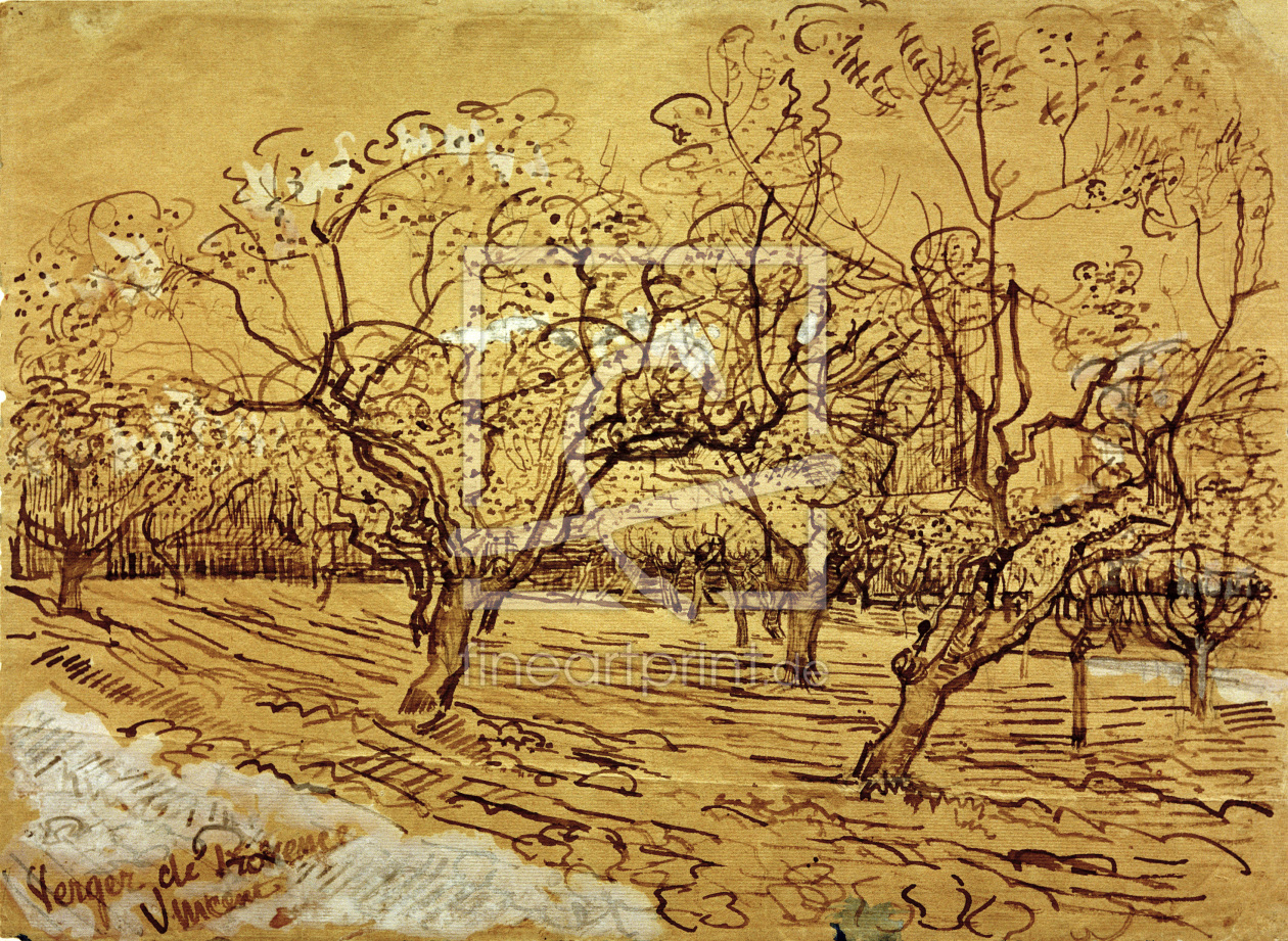 Bild-Nr.: 30003220 V.van Gogh, Orchard / Drawing / 1888 erstellt von van Gogh, Vincent