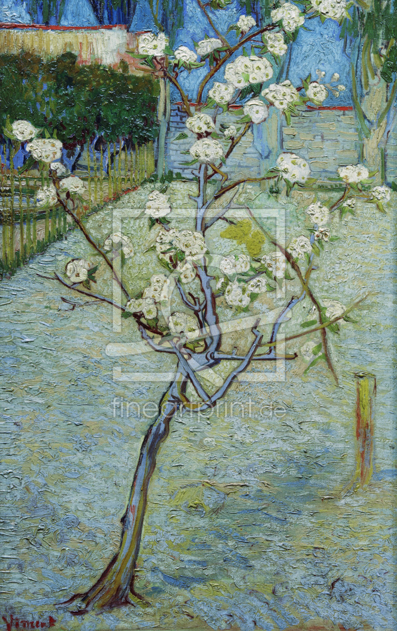 Bild-Nr.: 30003234 van Gogh/Blossoming pear tree/April 1888 erstellt von van Gogh, Vincent