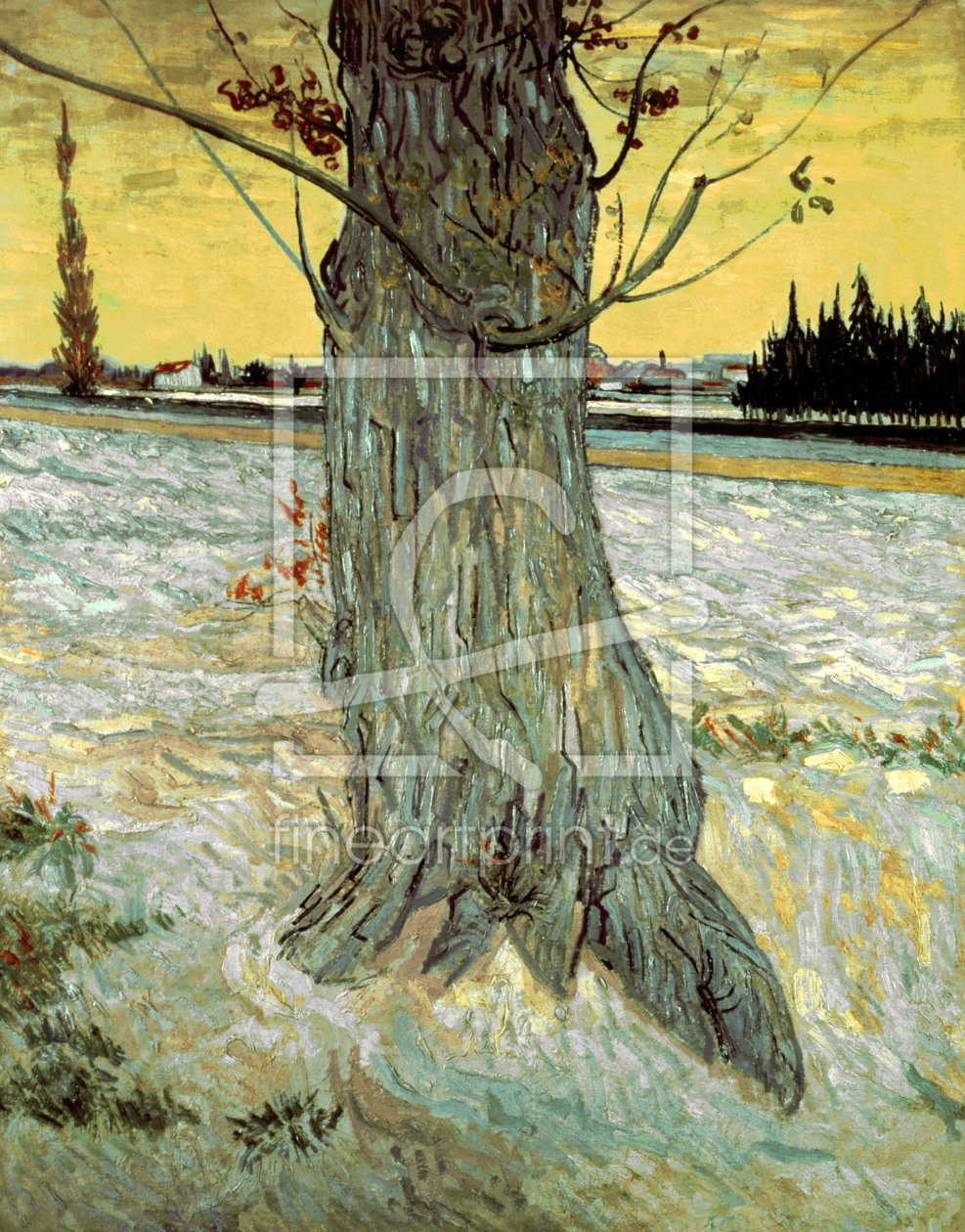 Bild-Nr.: 30003464 van Gogh / The Tree / 1888 erstellt von van Gogh, Vincent