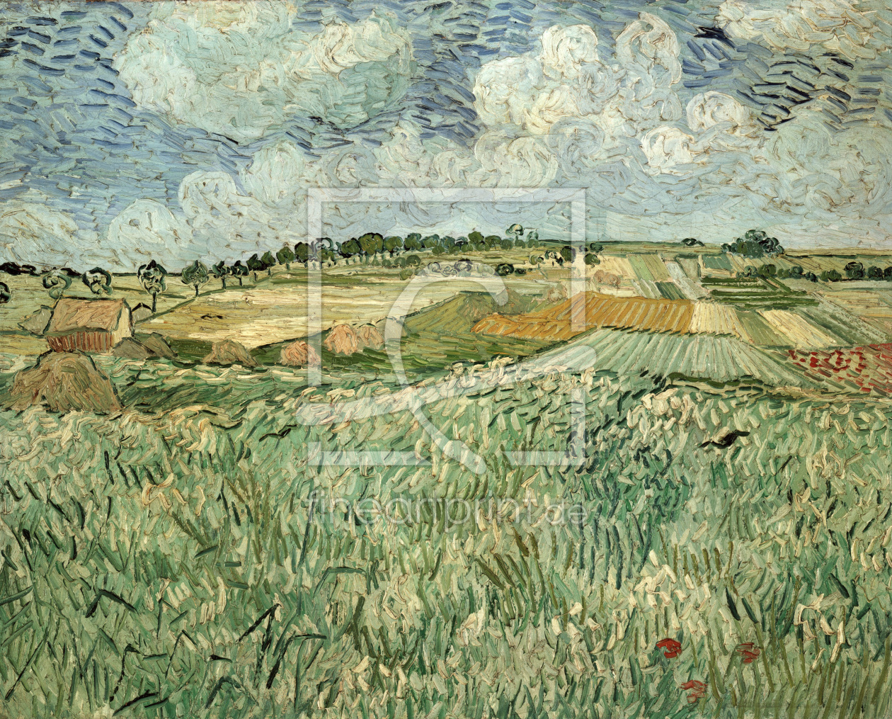 Bild-Nr.: 30003470 Van Gogh / The Plain of Auvers / 1890 erstellt von van Gogh, Vincent