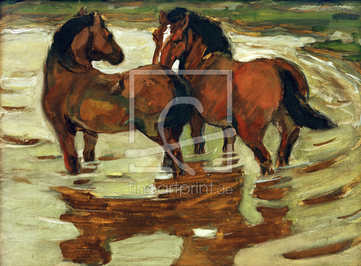 Bild-Nr.: 30005576 F.Marc, Zwei Pferde in der Schwemme erstellt von Marc, Franz