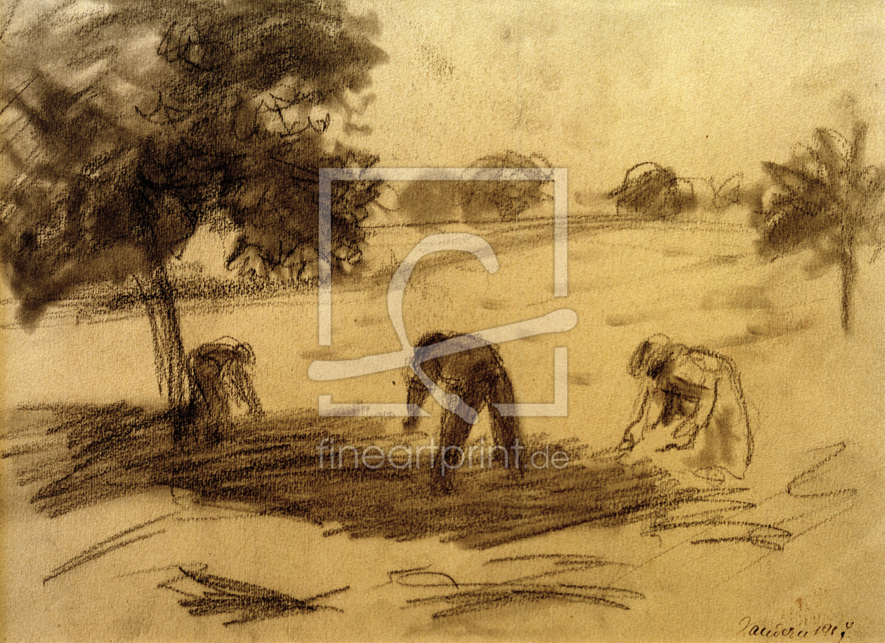 Bild-Nr.: 30006500 A.Macke, Feldarbeit / Kohlezeichn., 1907 erstellt von Macke, August