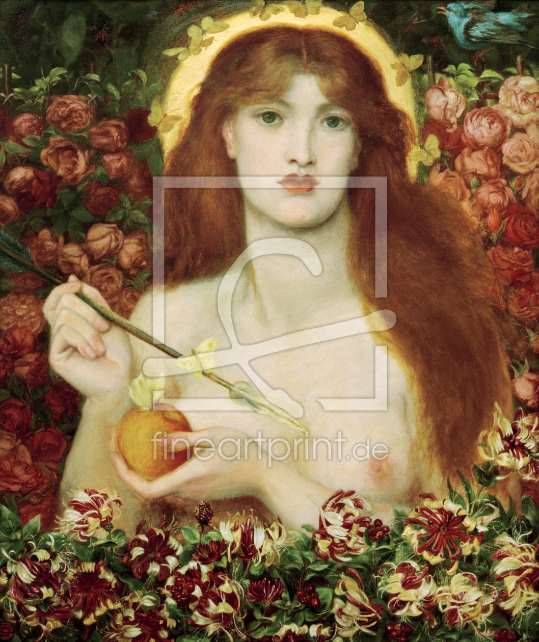 Bild-Nr.: 30007174 Rossetti, Venus Verticordia erstellt von Rossetti, Dante Gabriel