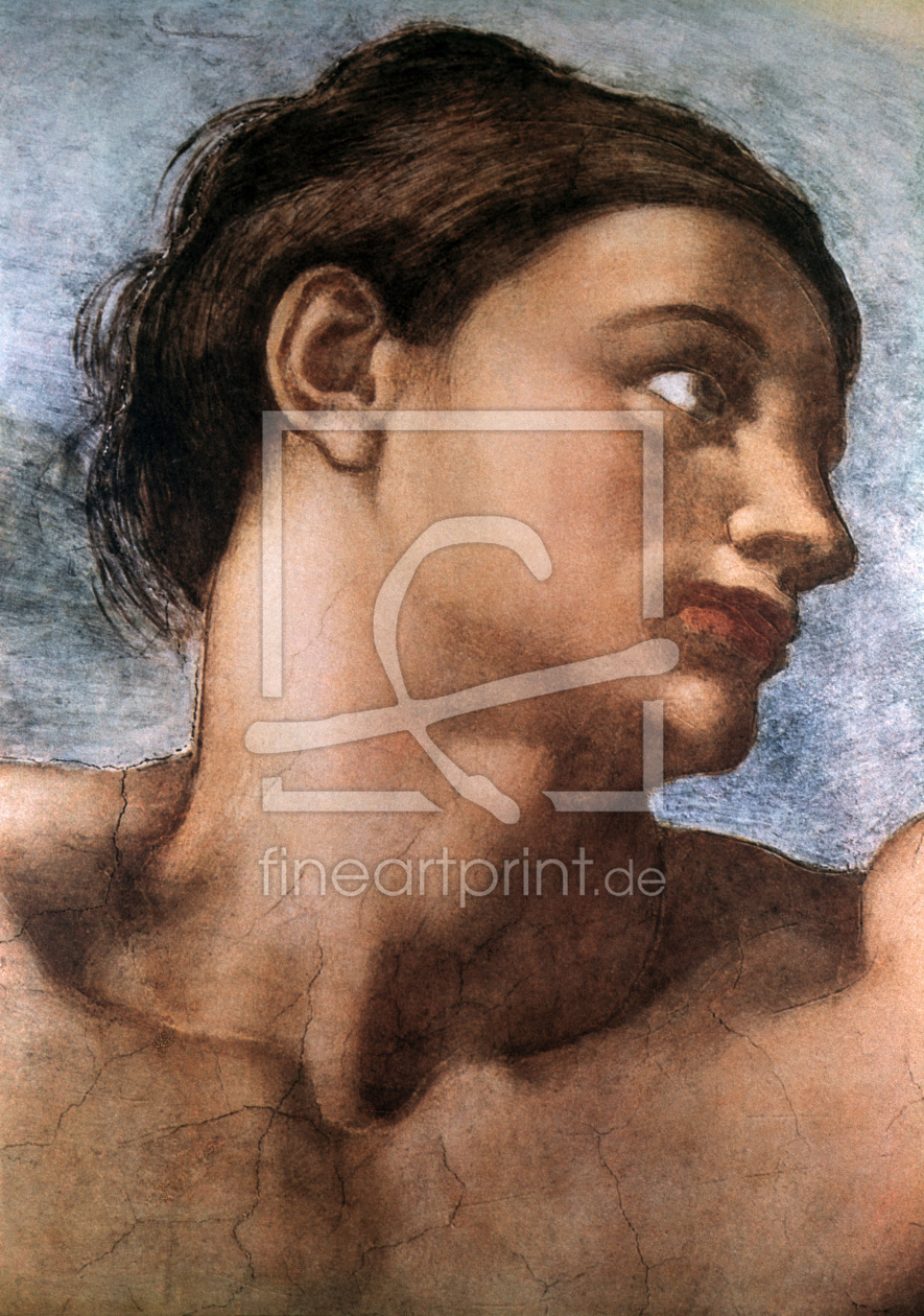 Bild-Nr.: 30007326 Michelangelo / Creation of Adam / Detail erstellt von Buonarroti, Michelangelo (Michelangelo di Lodovico Buonarroti Simoni)