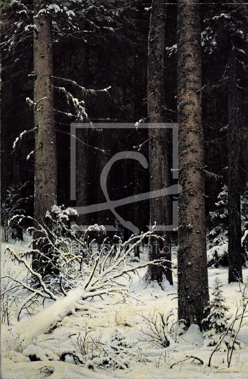 Bild-Nr.: 30007971 Shishkin / Fir trees in Winter, Painting erstellt von Schischkin, Iwan Iwanowitsch