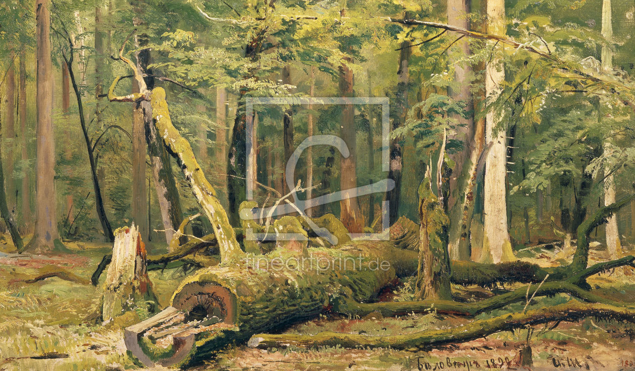 Bild-Nr.: 30007979 I.I.Zhishkin / Felled Oak / Ptg./ 1892 erstellt von Schischkin, Iwan Iwanowitsch