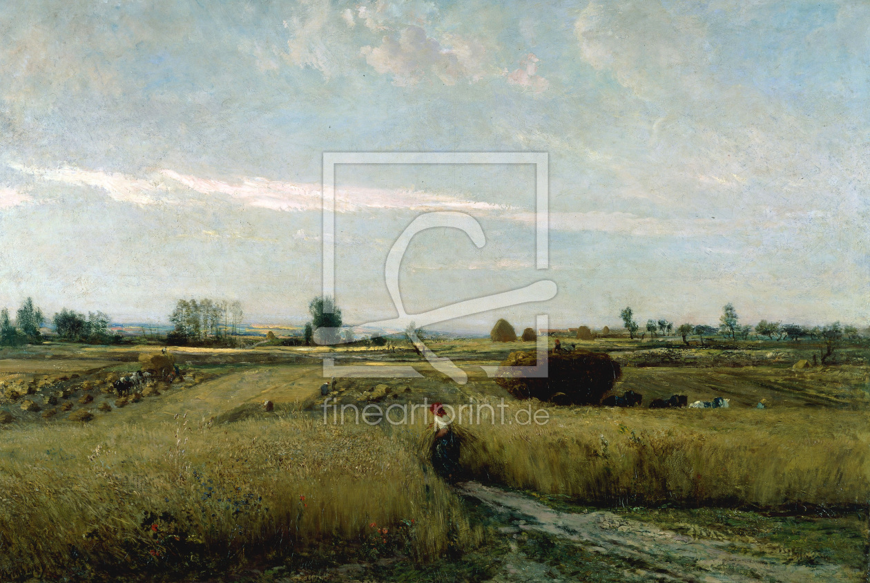 Bild-Nr.: 30009003 Daubigny / Harvest / 1851 erstellt von Daubigny, Charles-François