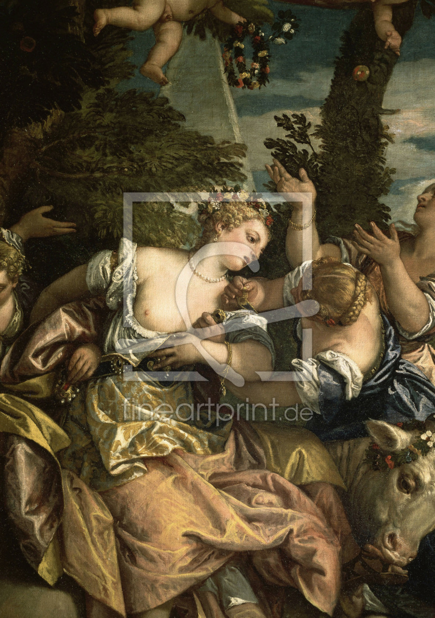 Bild-Nr.: 30009333 Veronese / The Rape of Europa erstellt von Veronese, Paolo