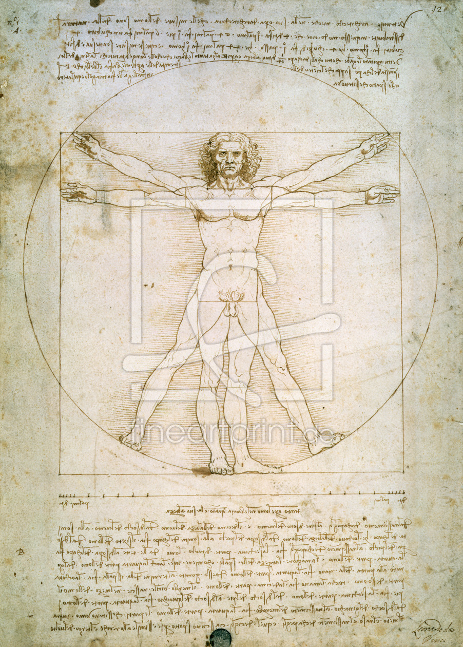 Bild-Nr.: 31000014 The Proportions of the human figure , c.1492 erstellt von da Vinci, Leonardo