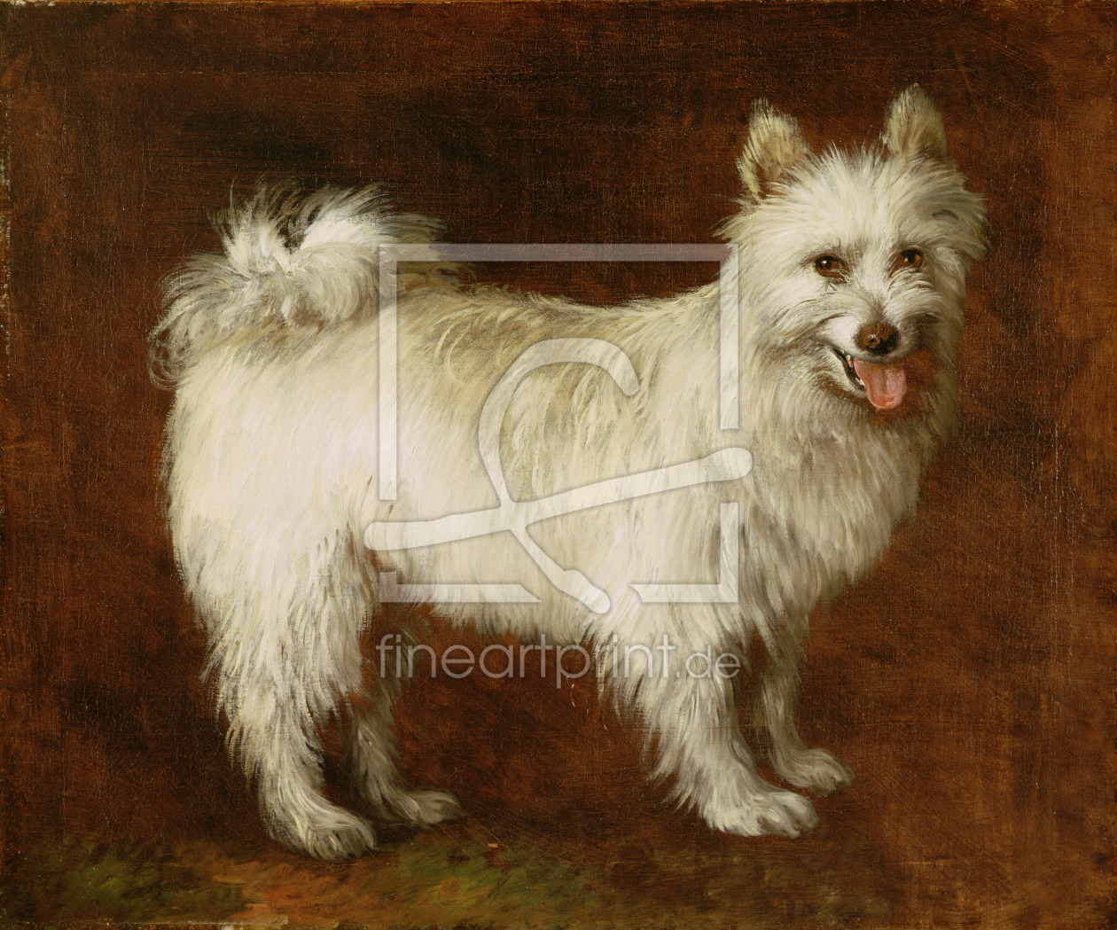 Bild-Nr.: 31000448 Spitz Dog, c.1760-70 erstellt von Gainsborough, Thomas