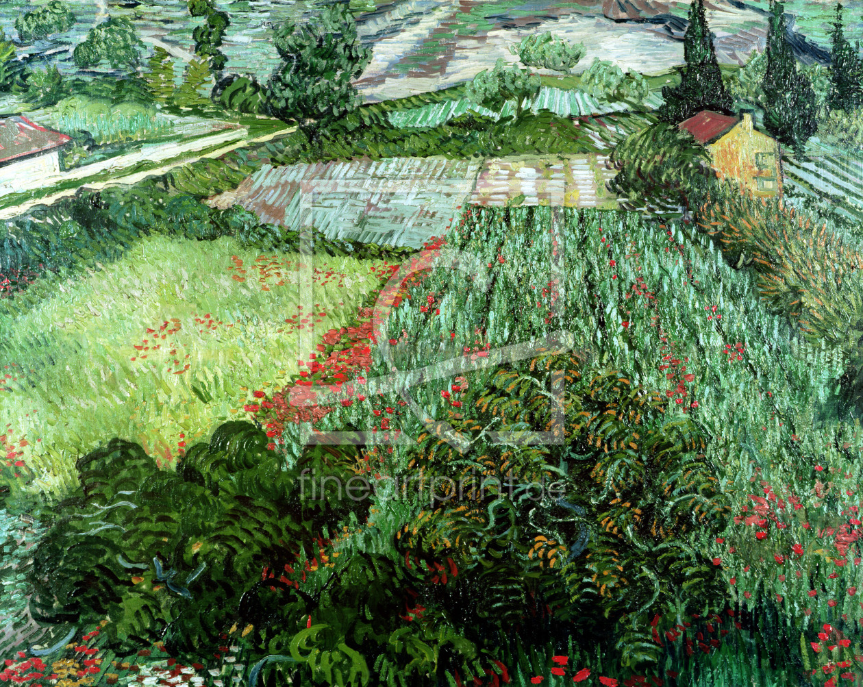 Bild-Nr.: 31001367 Field with Poppies, 1889 erstellt von van Gogh, Vincent