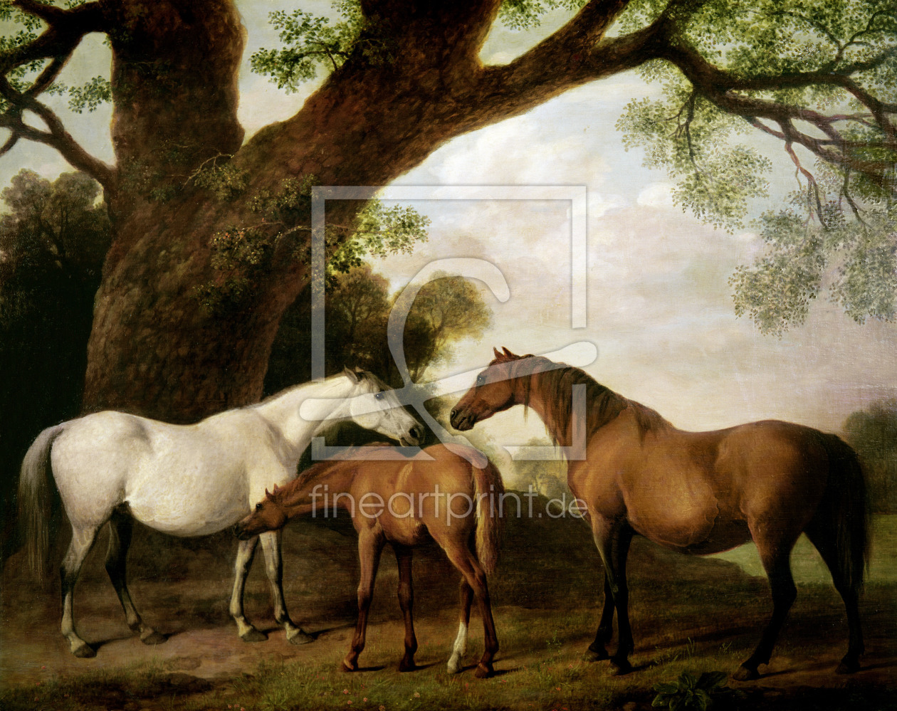 Bild-Nr.: 31001433 Two Shafto Mares and a Foal, 1774 erstellt von Stubbs, George