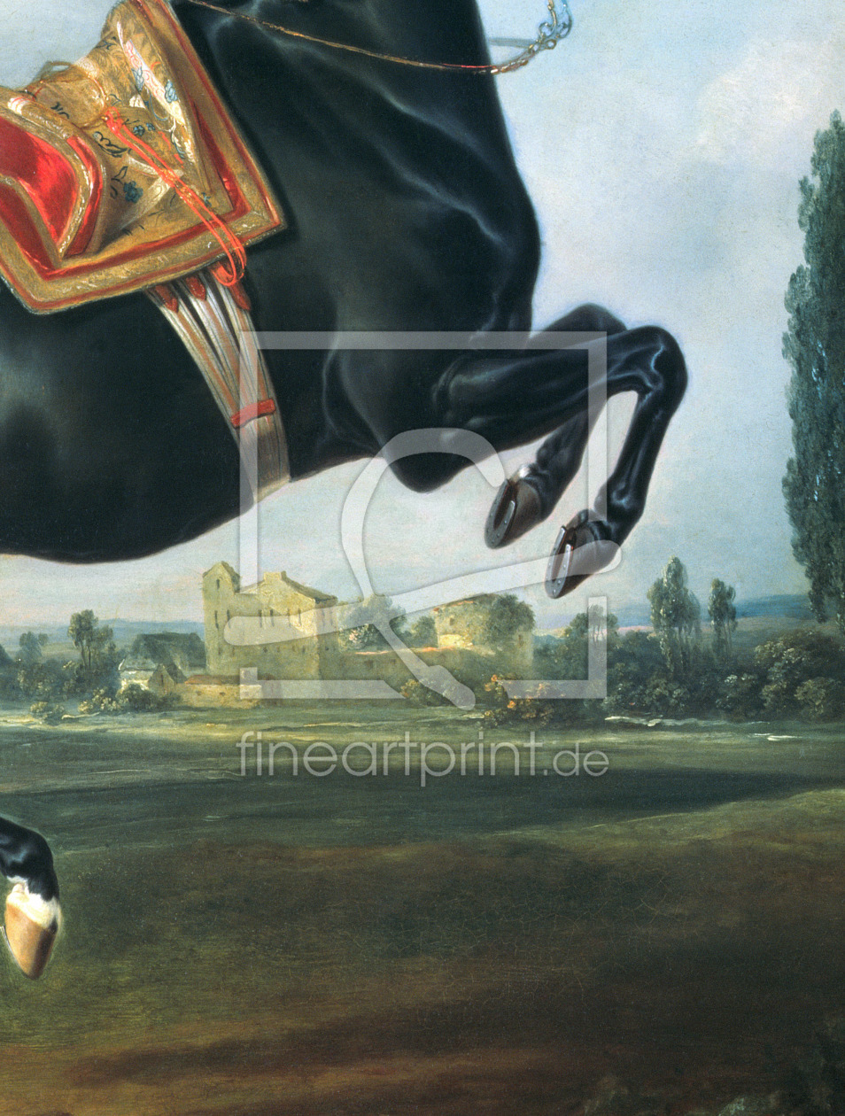 Bild-Nr.: 31001722 A black horse performing the Courbette erstellt von Hamilton, Johann Georg