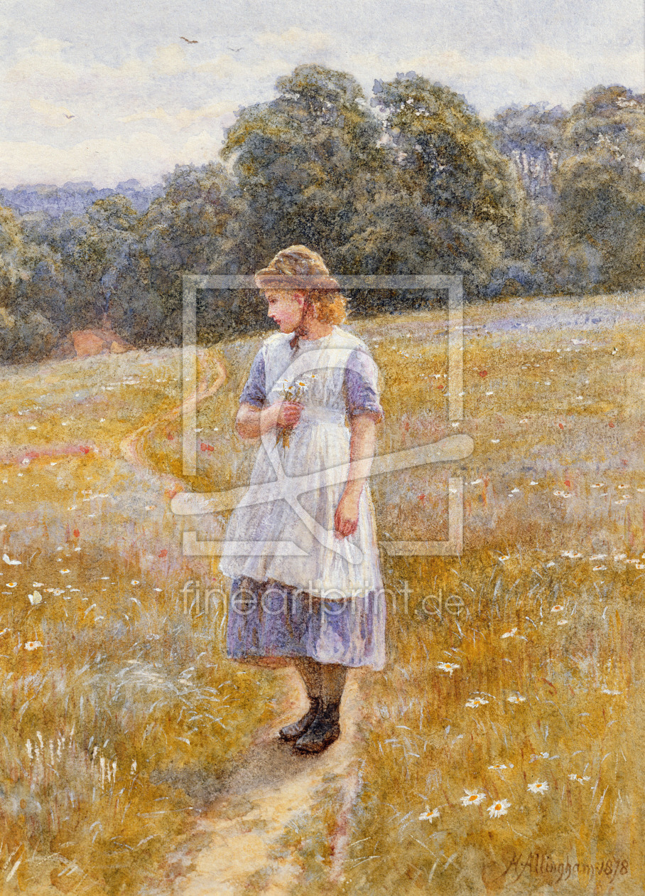 Bild-Nr.: 31002280 Daydreamer, 1878 erstellt von Allingham, Helen