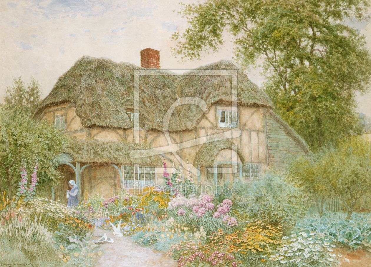 Bild-Nr.: 31002283 A Surrey Cottage erstellt von Strachan, Arthur Claude