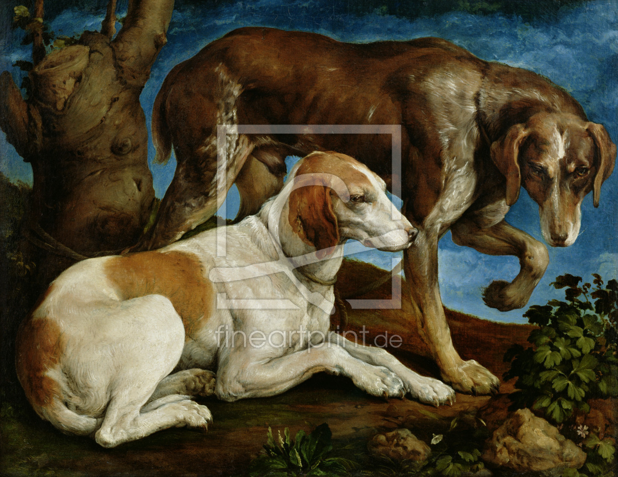 Bild-Nr.: 31002557 Two Hunting Dogs Tied to a Tree Stump, c.1548-50 erstellt von Bassano, Jacopo (Jacopo da Ponte)