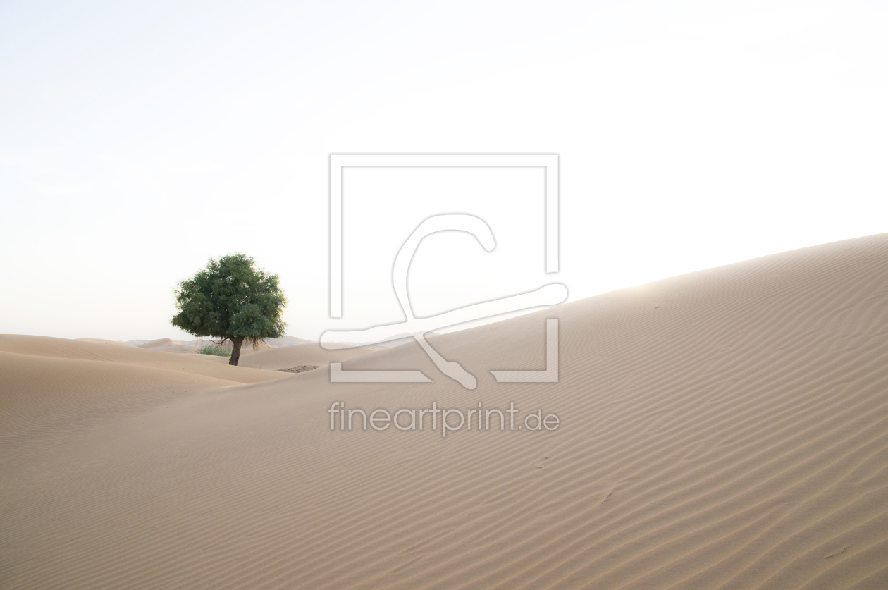 Bild-Nr.: 9467608 Wüste erstellt von danielschoenen