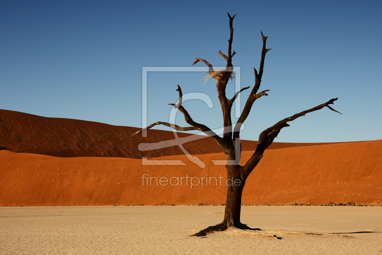 Bild-Nr.: 9518952 Tree in the desert erstellt von Henner