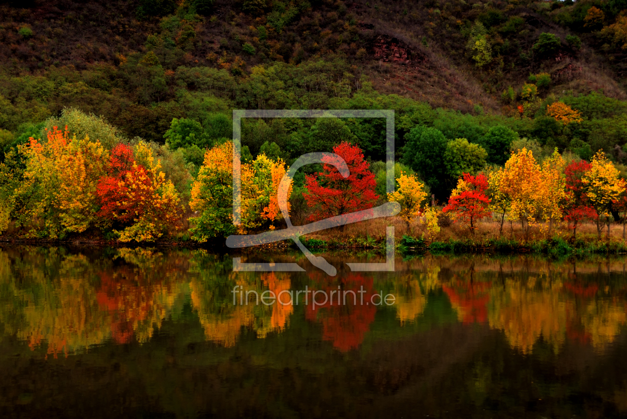 Bild-Nr.: 9571350 colours of nature erstellt von Steffen Gierok