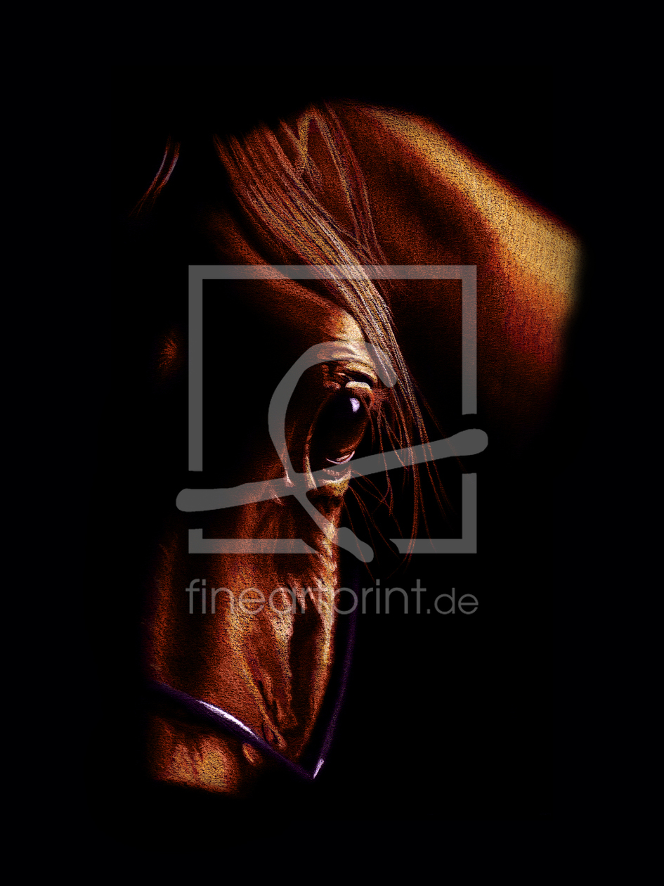 Bild-Nr.: 9811654 Der Blick des Pferdes erstellt von Mausopardia