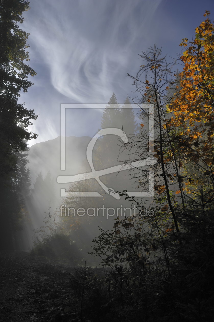 Bild-Nr.: 9857882 Weg aus dem Nebel ins Licht erstellt von quelindo