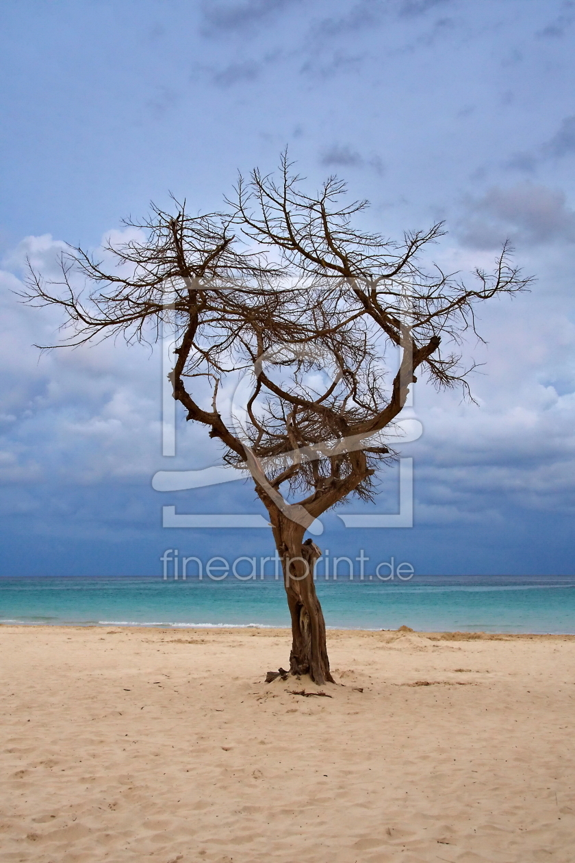 Bild-Nr.: 9873892 Pastell Baum erstellt von fotoping