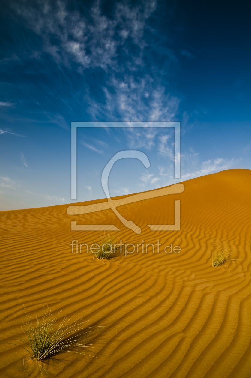 Bild-Nr.: 9912128 Wüste, hochkant erstellt von danielschoenen