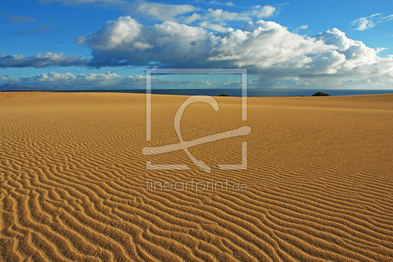 Bild-Nr.: 9970477 Dünenlandschaft bei Corralejo auf Fuerteventura erstellt von Frank Rother