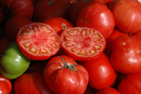 Tomaten/9461154