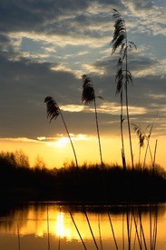 Sonnenaufgang am See/9678220