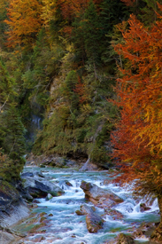 Herbst in der Klamm/9827046