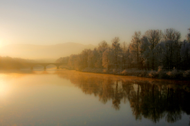 brücke im nebel II/9855730