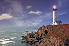 Pigeon Point Lighthouse - Pacific Coast / California/9873896