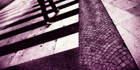 ZEBRA | crossing/9901834