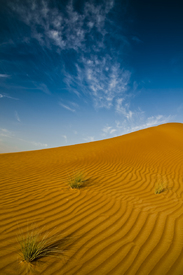 Wüste, hochkant/9912128