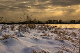 Winter am Rhein/9919032