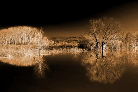 Hochwasser sepia/9946695