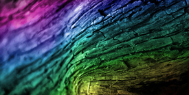 Tree Bark Rainbow/9989287