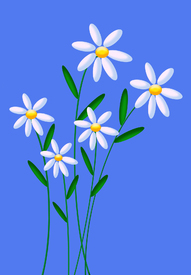 Frühlingsblumen/10001447