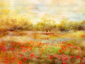 Landschaft mit Mohn/10018507