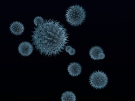 Virus/10072509