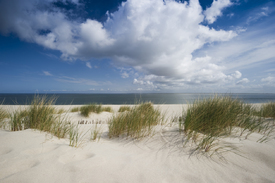 Sylt #30/10100952