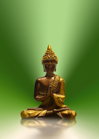Buddha/10299097