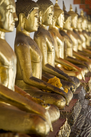 Budda mit Blumenstrauß auf dem Schoß/10348879