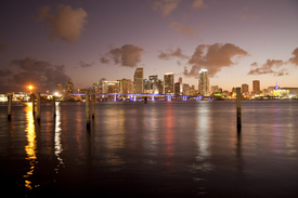 Downtown Miami Skyline/10362989