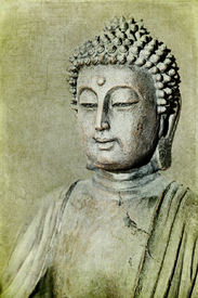 Buddha/10554505