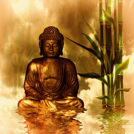 Buddha/10572067